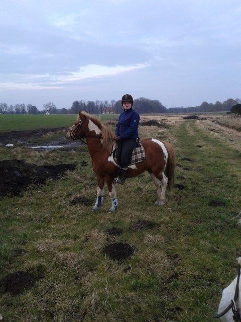 Anden særlig race Hidalgo *Drengerøven* - Anden gang på tur på Lindved. Han var rigtig dygtig :) Vi skridtede af efter dressur undervisning  billede 17