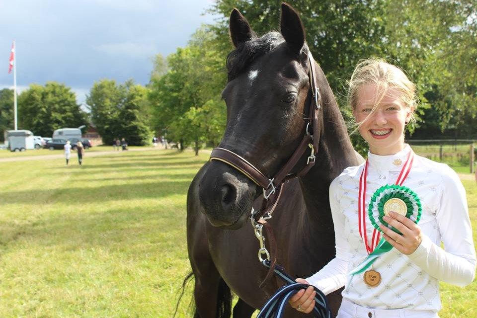 Tysk Sportspony VICTORY A-pony SOLGT - Kolding 2013 billede 18