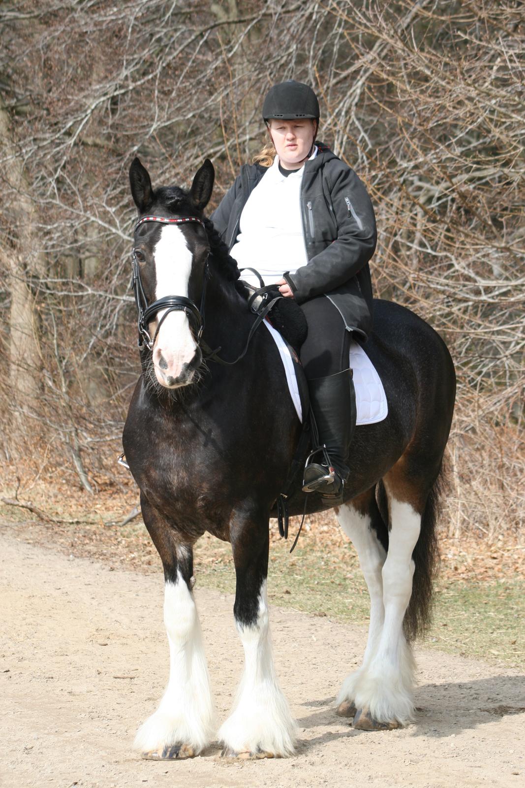 Shire Bjerggårdens Kadisha billede 28