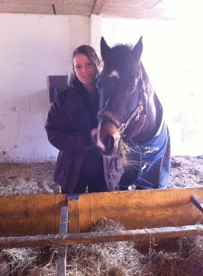 Hollandsk Sportspony Mistery Girl <3  R.I.P billede 5