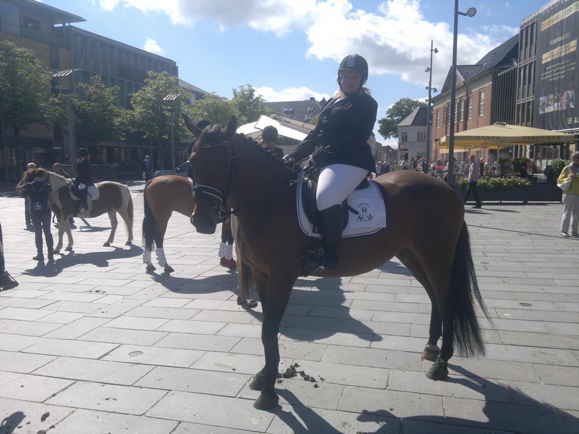 Anden særlig race Sibiriens Chestar - EM Herning 2013 billede 10