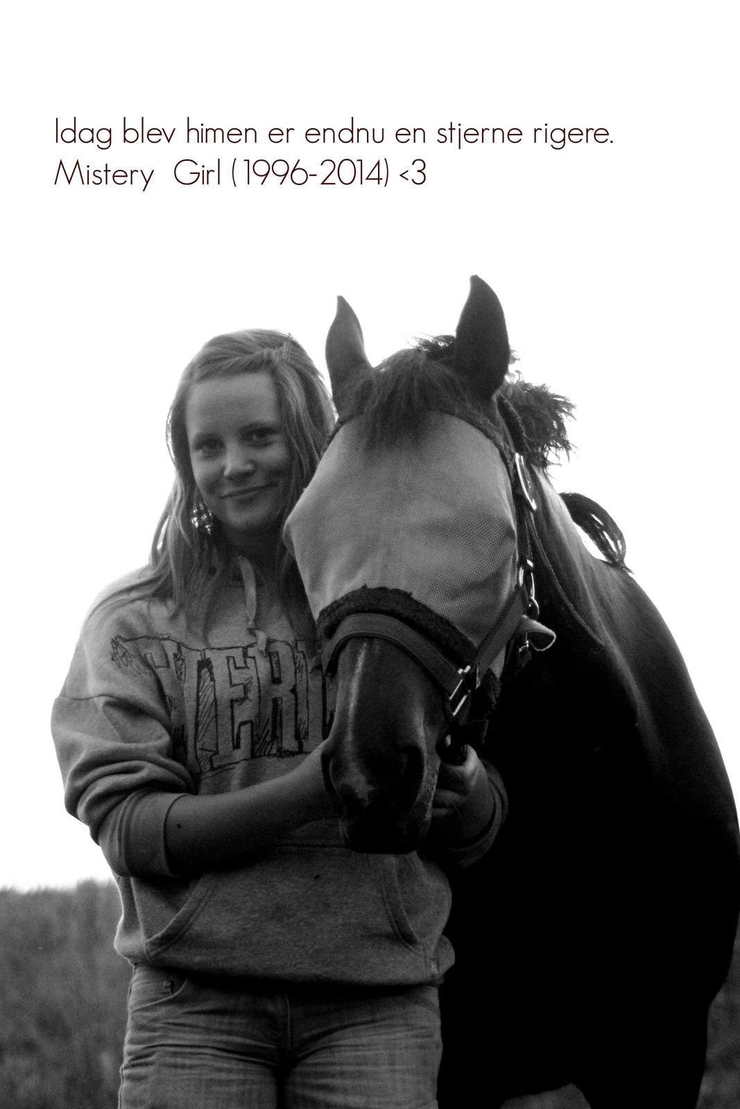 Hollandsk Sportspony Mistery Girl <3  R.I.P billede 1