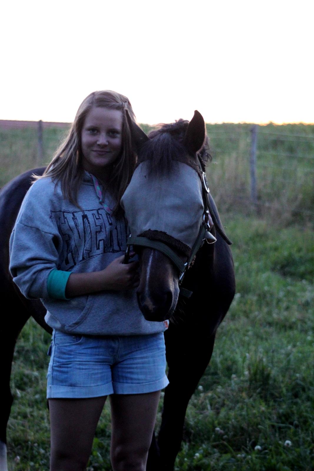 Hollandsk Sportspony Mistery Girl <3  R.I.P billede 16