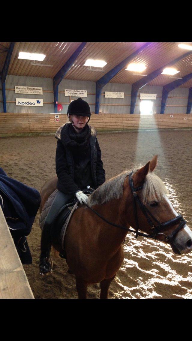Anden særlig race Prinsess - Træning i Mønsted billede 10