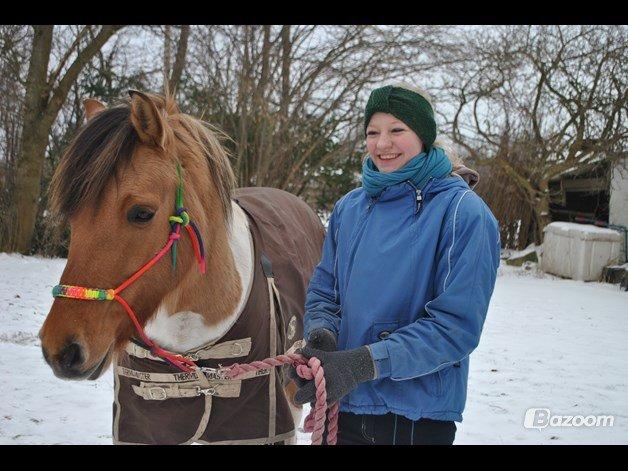 Anden særlig race Gormiti, Miti billede 3