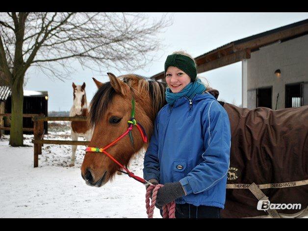 Anden særlig race Gormiti, Miti billede 4