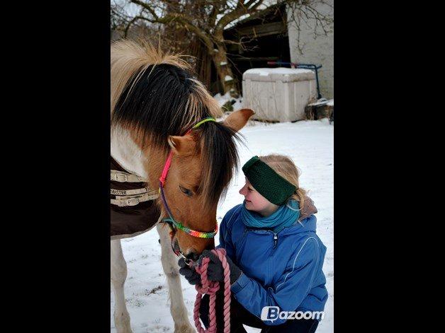 Anden særlig race Gormiti, Miti billede 6