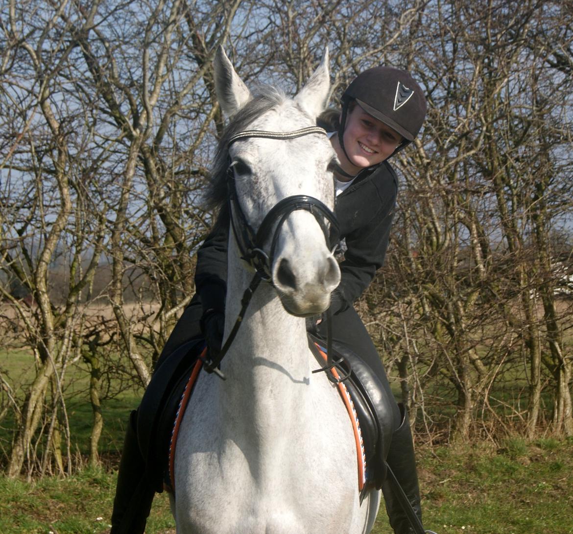 Anglo Araber (AA) Hedevangs Galilea - Februar 2014 - Min elskede Galle <3 Foto: Amalie Andersen billede 20