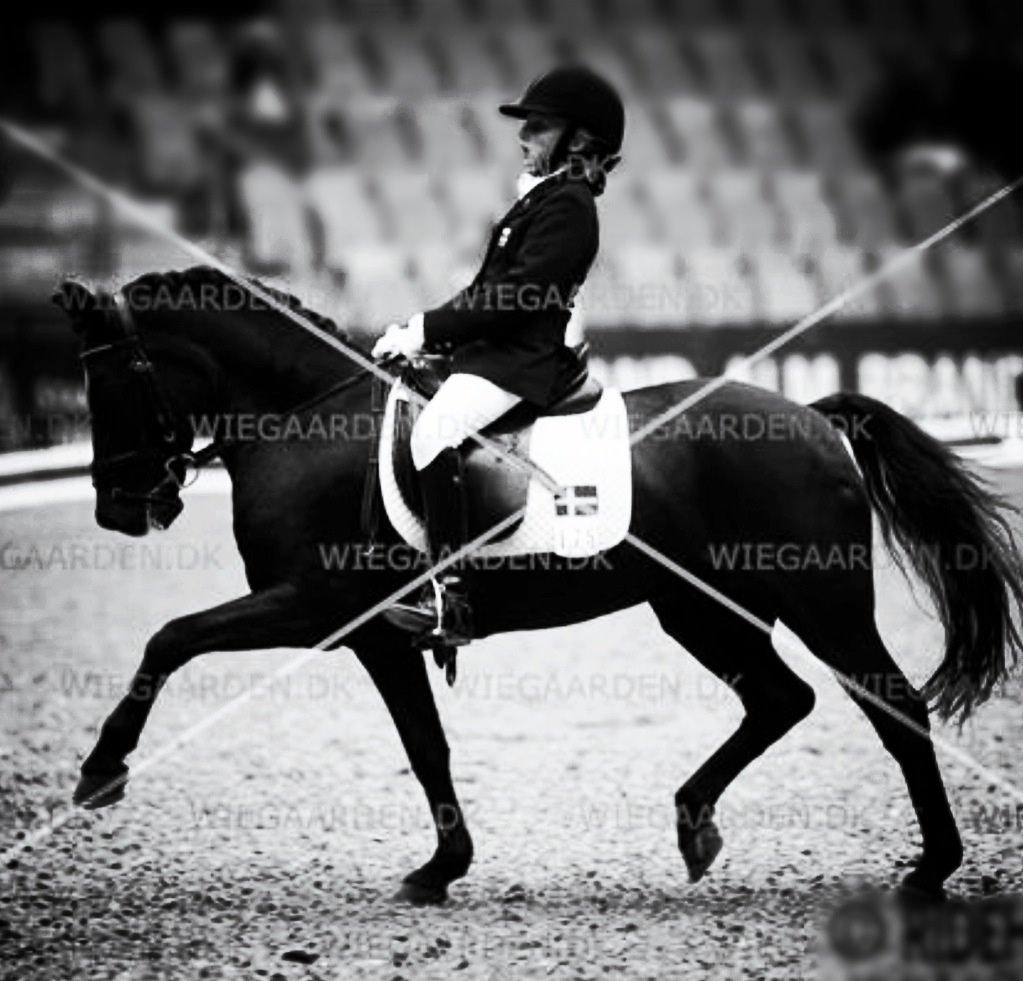 Anden særlig race Magic Manipu <3 billede 19