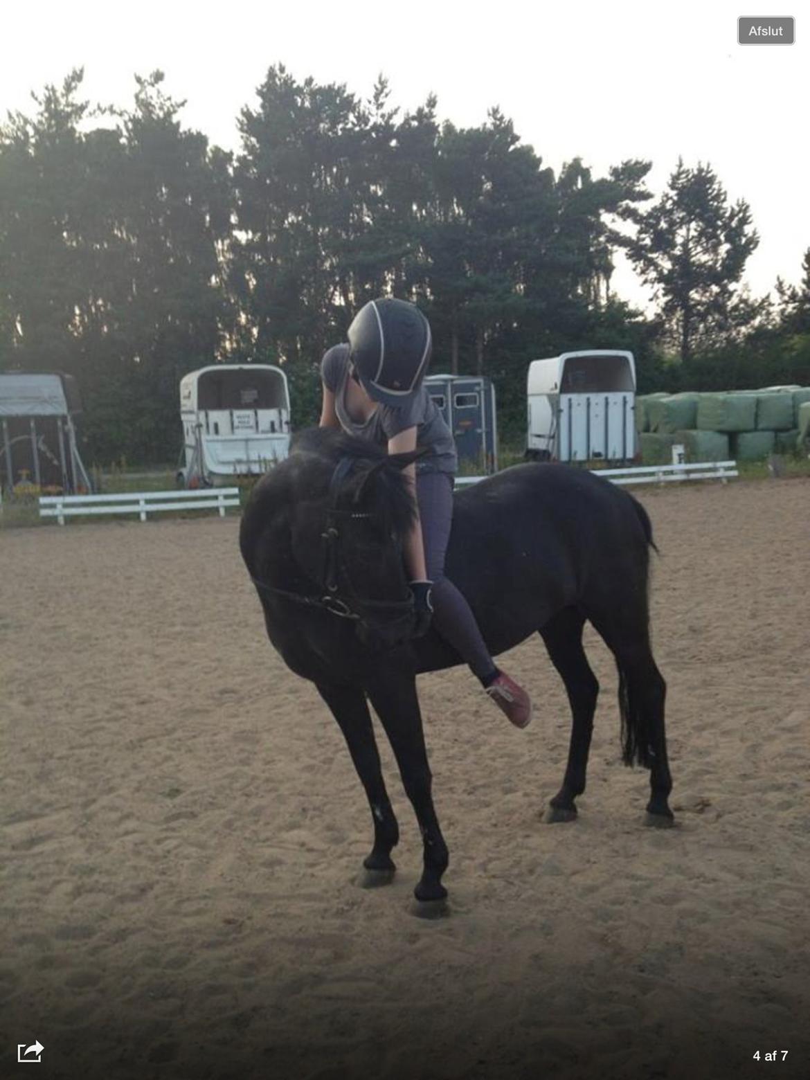 Anden særlig race Magic Manipu <3 billede 20