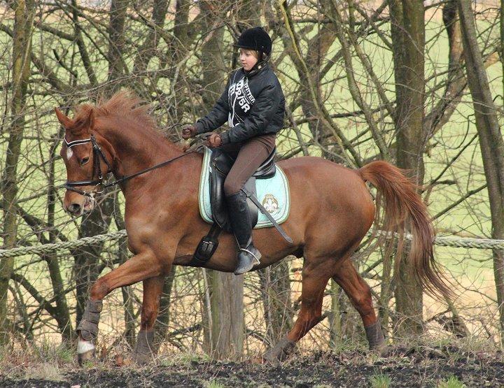 Anden særlig race Sweet Marquis r.i.p? - Simone og Marquis - Feb 2014 billede 4