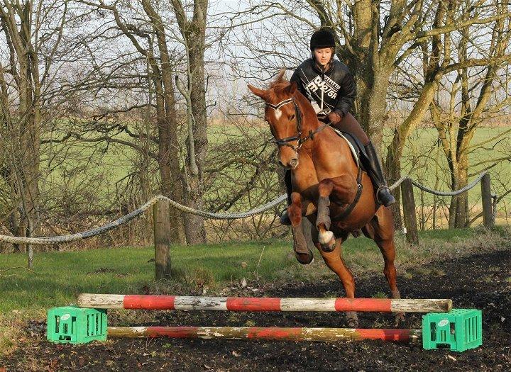 Anden særlig race Sweet Marquis r.i.p? - Simone og Marquis - Feb 2014 billede 3