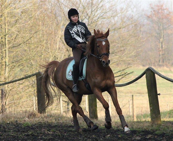 Anden særlig race Sweet Marquis r.i.p? - Simone og Marquis - Feb 2014 billede 2