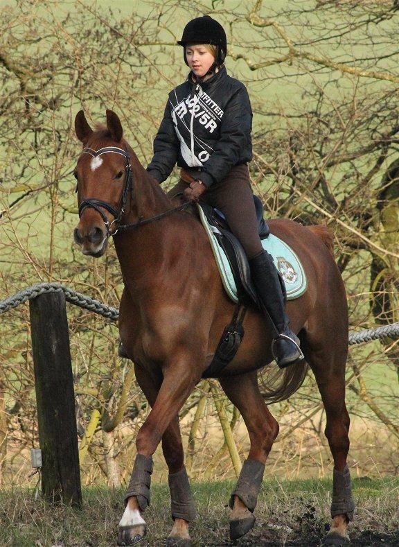 Anden særlig race Sweet Marquis r.i.p? - Simone og Marquis - Feb 2014 billede 1