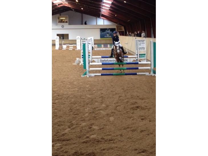 {{currentPhoto.altText}} billede {{currentPhoto.number}}