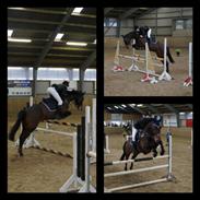 Anden særlig race Kodeina