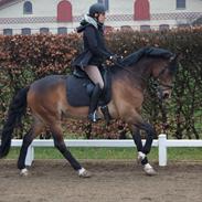 DSP Algecirás Kærlund