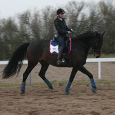 Anden særlig race Casino Royale(Black Star)