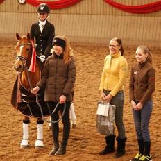 Hollandsk Sportspony Lasco A-pony