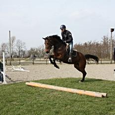 Anden særlig race FMR´s Olivia