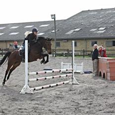 Anden særlig race FMR´s Olivia