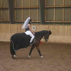 Anden særlig race Shakira (HVR) Rideskolepony