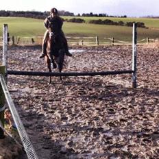 Fuldblod (XX) Bonne Easter