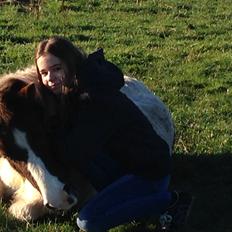 Anden særlig race Samba