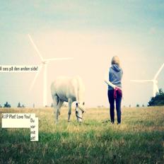 Anden særlig race Plet Farvel mit 1 og alt! </3