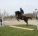 Anden særlig race FMR´s Olivia