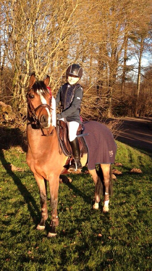 DSP Kovu A billede 6