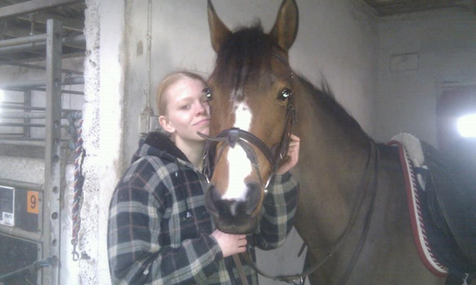 Pinto Araber Brown Sugar - Gensyn efter mere end 1 år <3 billede 19