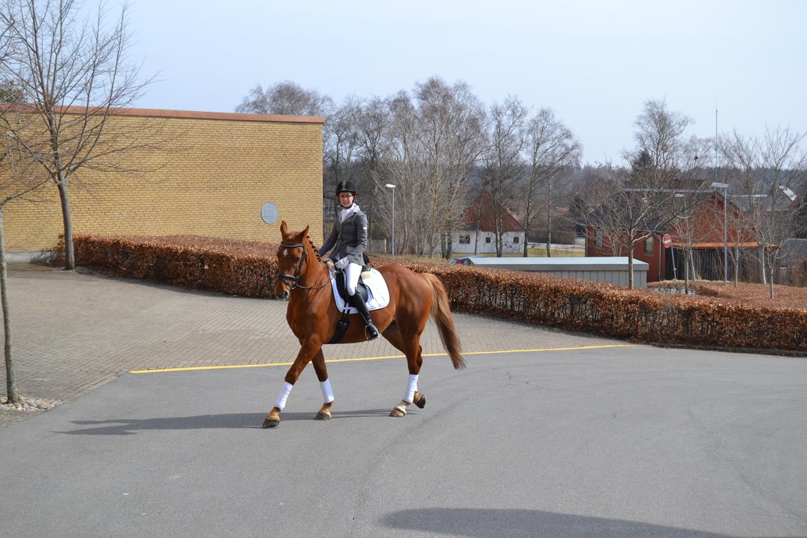 Oldenborg LV's Figo billede 8