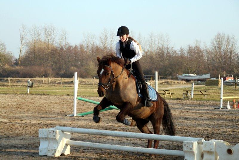 Connemara Quiva <3 - Q fører sig frem på springbanen! Han er så nuser.. <3 - Marts 2014 billede 13