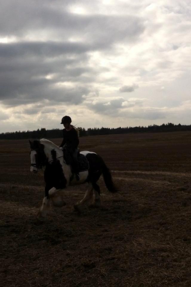 Tinker Aiden billede 13