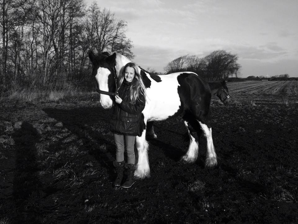 Tinker Aiden billede 11