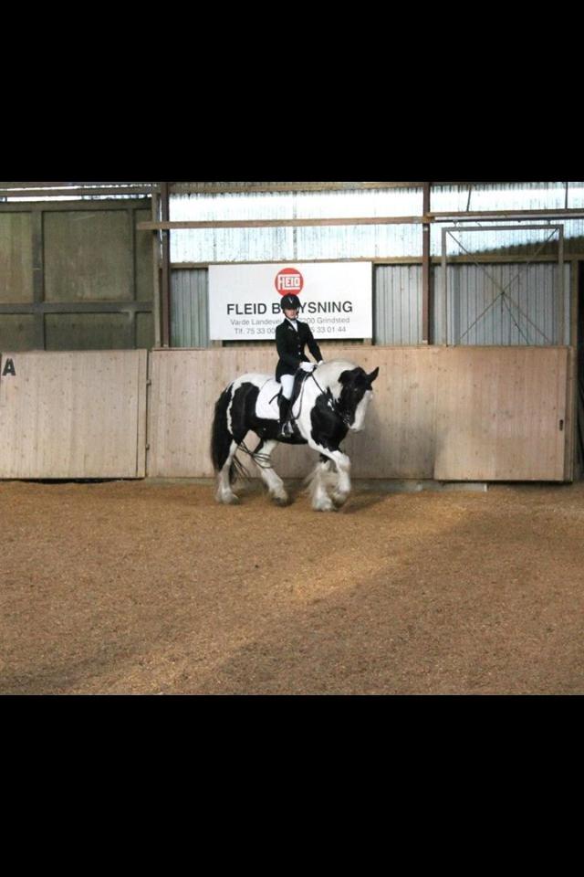 Tinker Aiden billede 14