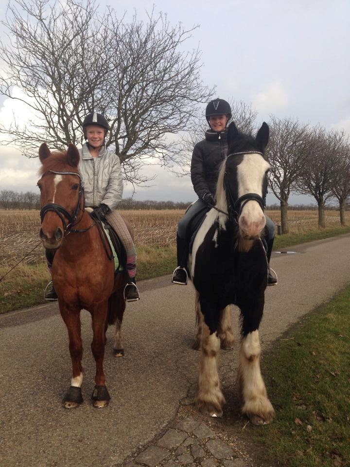 Tinker Aiden billede 17