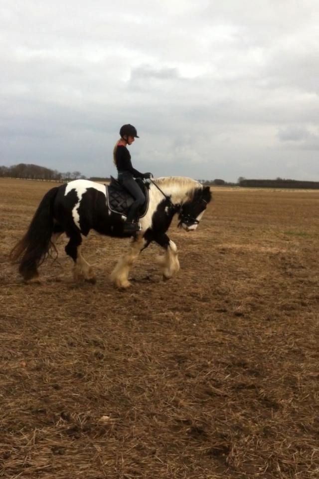 Tinker Aiden billede 12