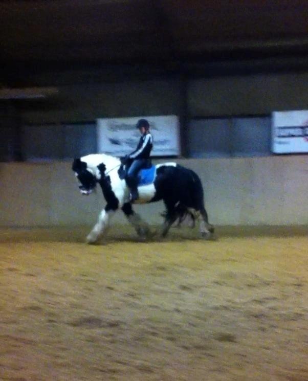 Tinker Aiden billede 16