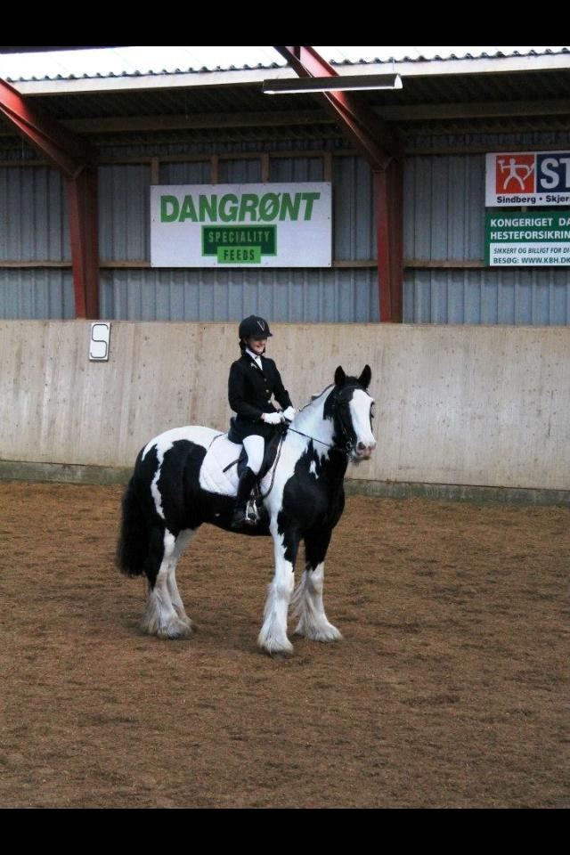 Tinker Aiden billede 15