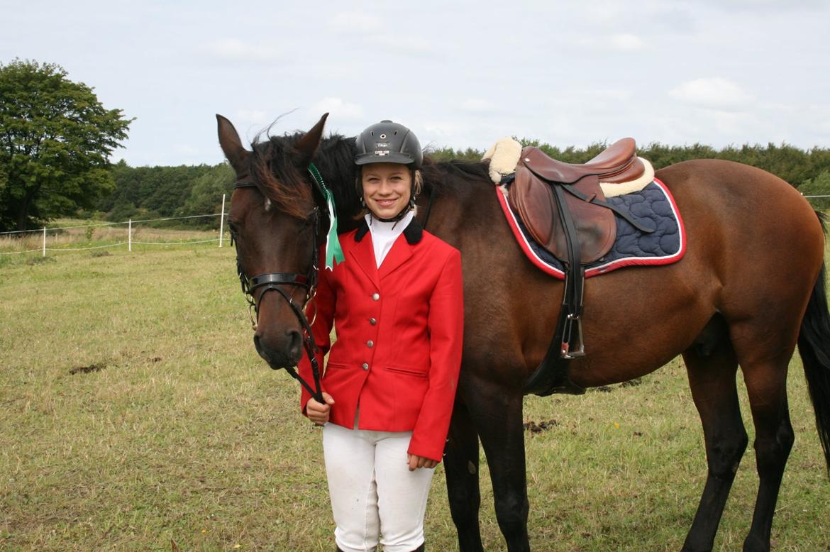 Hollandsk Sportspony Carlo billede 13