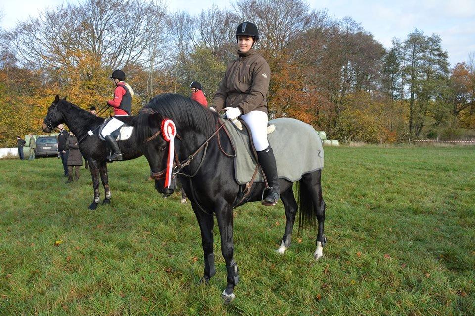 Dansk Varmblod Langagers Dooliwia - billede lånt af Randi. Dooliwia til jagt :) billede 9
