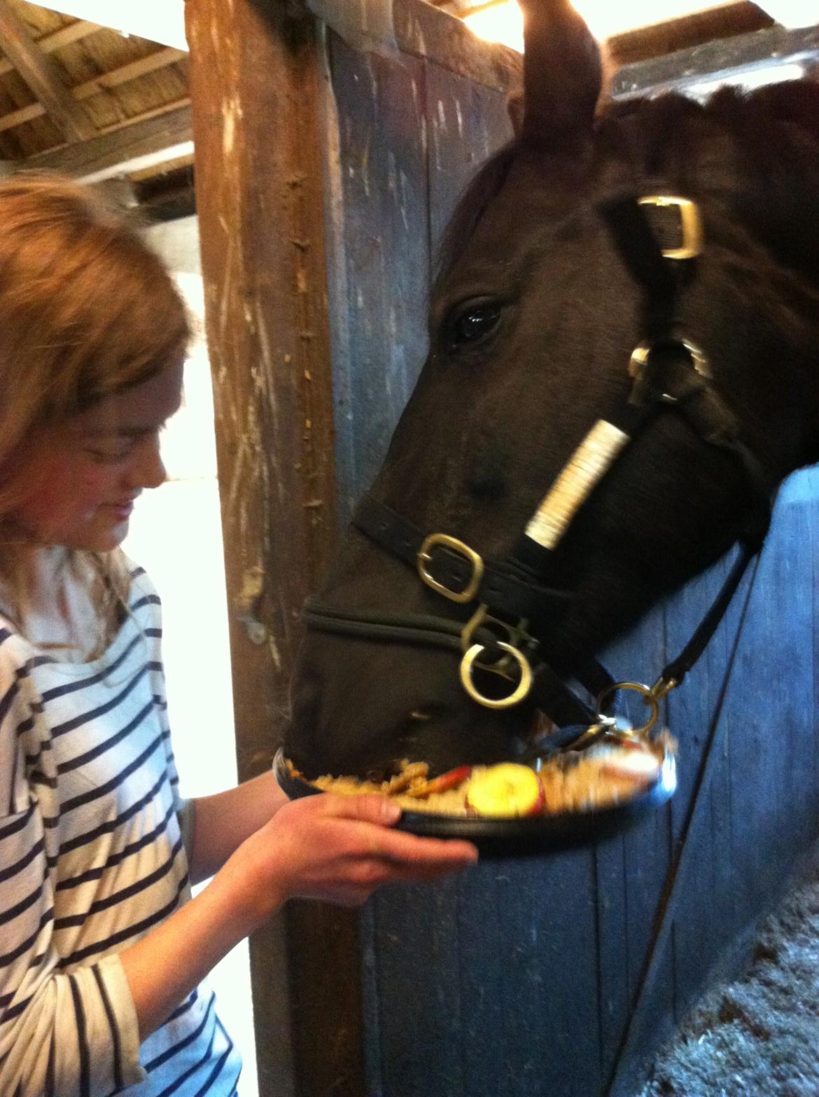 Oldenborg Rosita Krogh aka Maddy <3 - hendes 7 års fødselsdag <3 billede 17