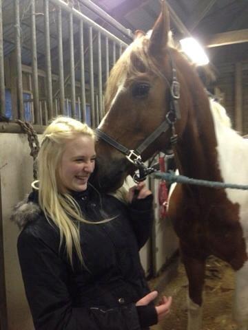 Anden særlig race Prins Carlos billede 5