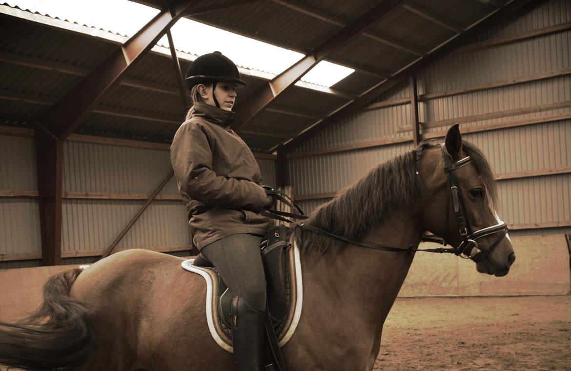 DSP Team Vesterskov's Chilli - Idag d. 02-03-2014 Træning, første gang i Ridehal! billede 9