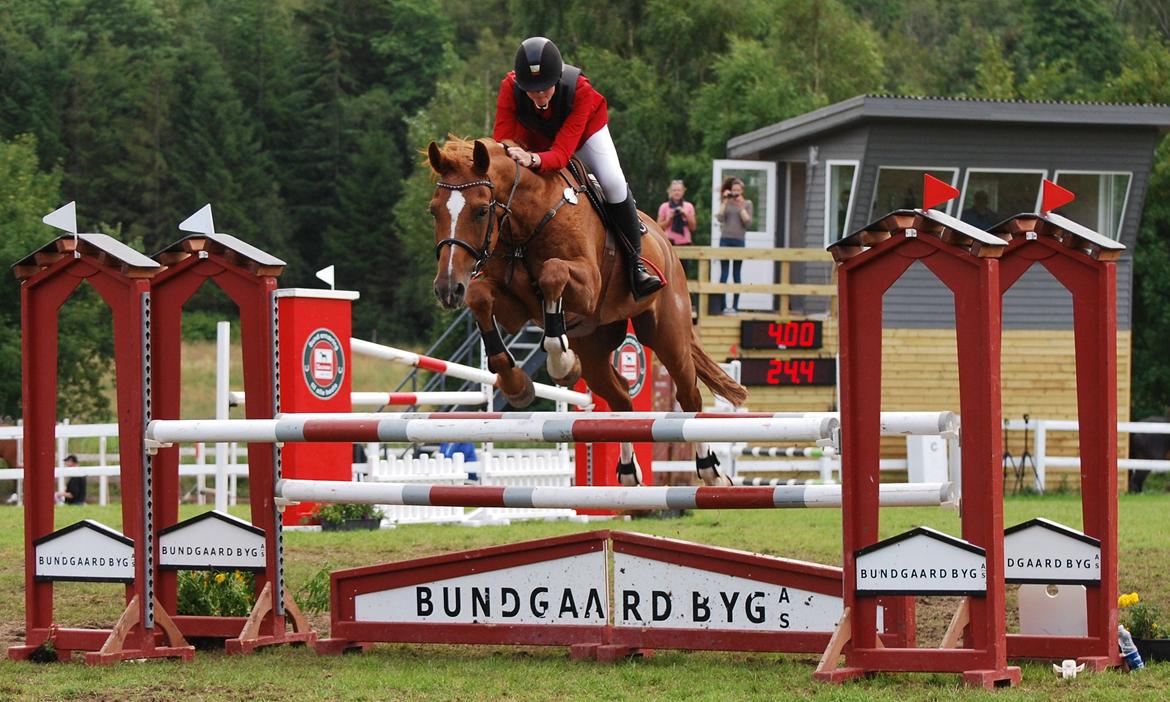 Anden særlig race Mañaña *STJERNE* billede 20