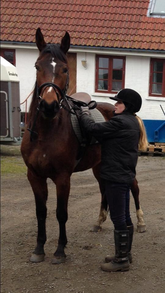 Anden særlig race Siegård's Jolie Marie - Hjemme fra skovtur d. 02-03-2014 billede 11