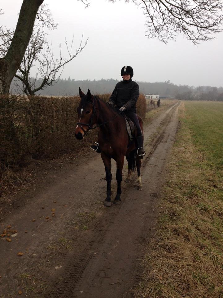 Anden særlig race Siegård's Jolie Marie - En tur i skoven d. 02-03-14 billede 10