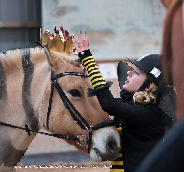 Fjordhest Sif (pony) ¤my soulmate¤ billede 41